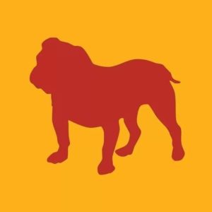 Case de sucesso: Bastards Brewery